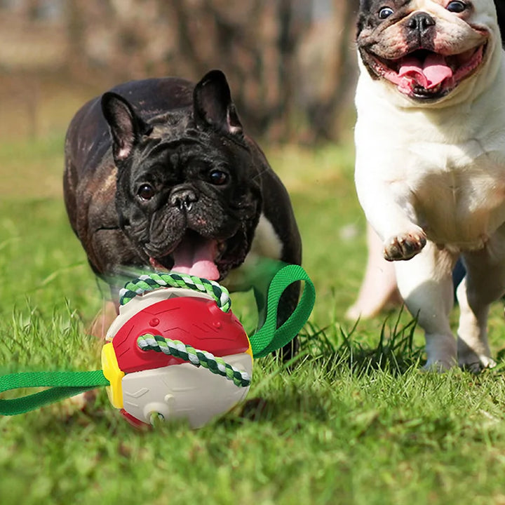 Brinquedo Interativo para Cães