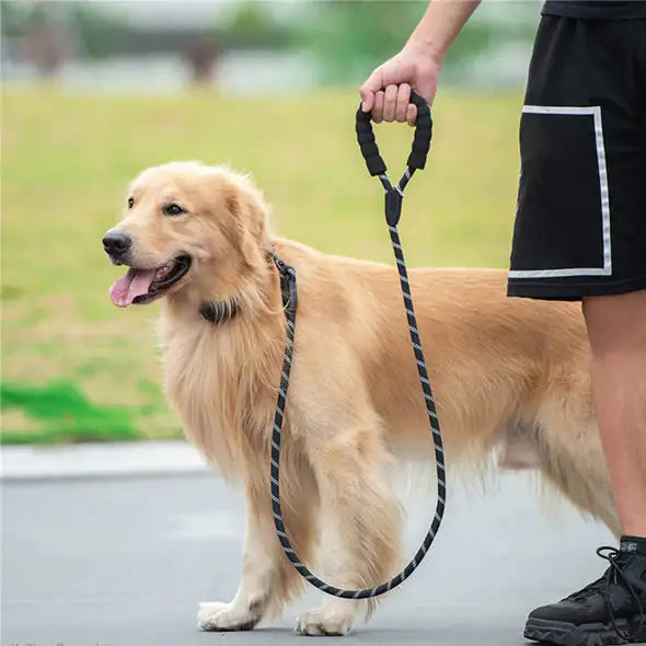 Coleira Reflexiva para Cães